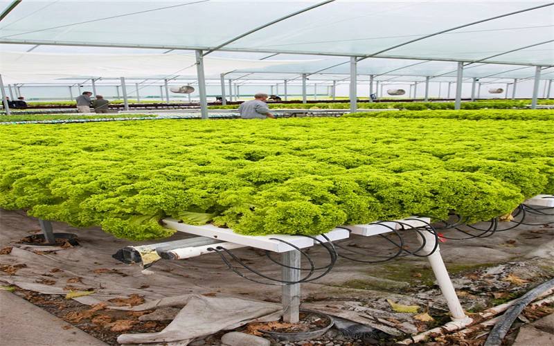 温室智能控制系统