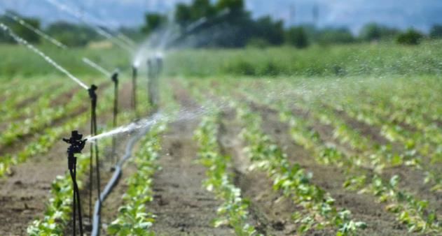 风,雨,温度,湿度智能喷灌控制系统武汉
