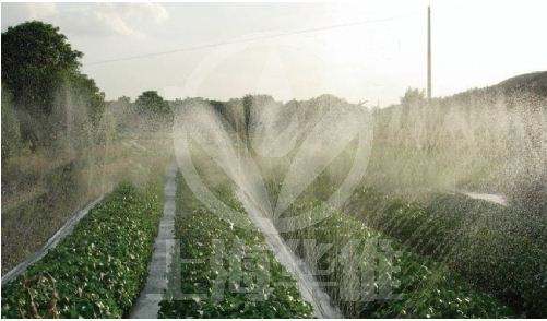 水肥一体化灌溉系统