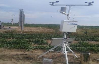 气象站系统服务