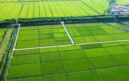 农田小气候监测站