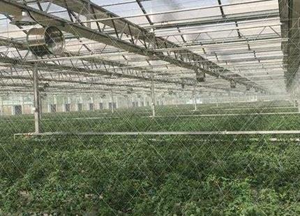 智能水肥一体化管理系统