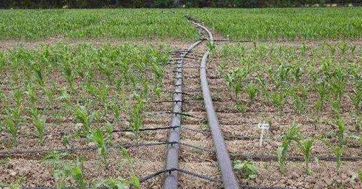 智能水肥一体化系统哪家强