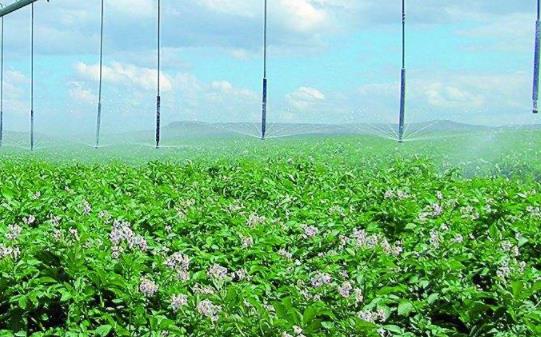 全自动施肥一体机