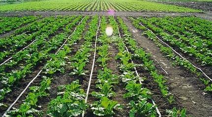 广州水肥一体化系统