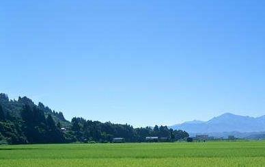 土壤温湿度传感器价格