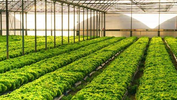 智能农业气象站厂家