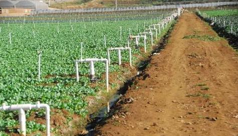 农业专用传感器