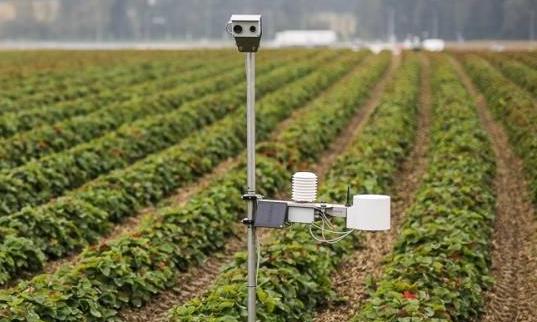 田间智能农业气象站