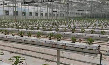 智能农业传感器厂家