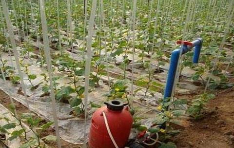 广州水肥一体化设备