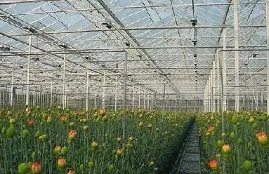 农业传感器生产厂家