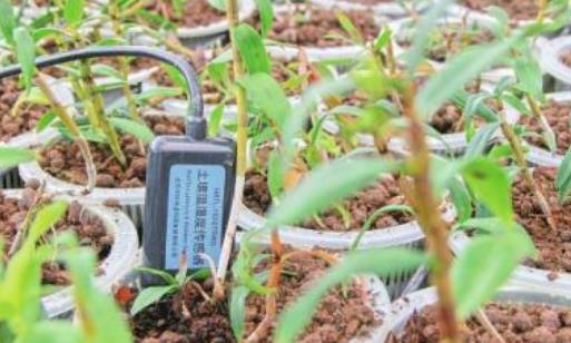 广州温湿度传感器