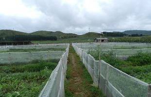 肇庆智能农业气象站