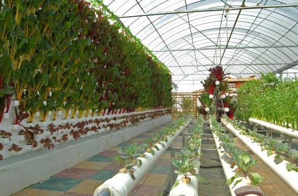 农业传感器有哪些