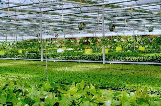 智能农业传感器概念