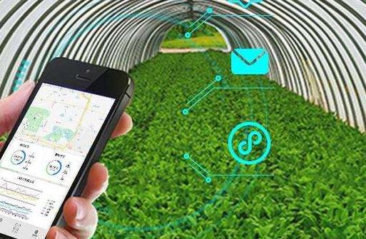 智慧农业传感器有哪些