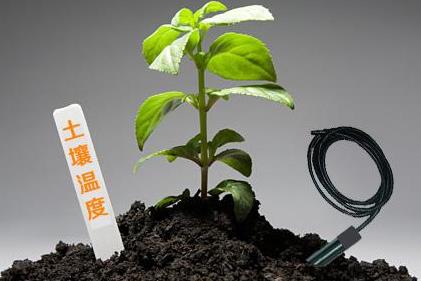 土壤和空气温湿度传感器