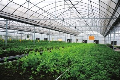  智慧农业大棚系统