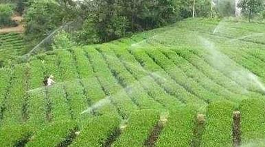  水肥一体化系统组成