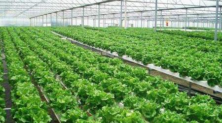 农田环境监测系统