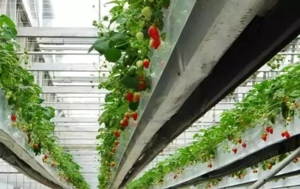 大棚环境监测系统