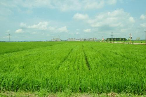 大田环境监测系统