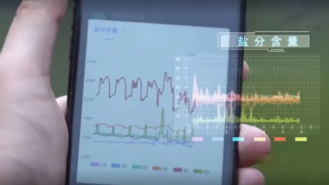 智能农业监测系统