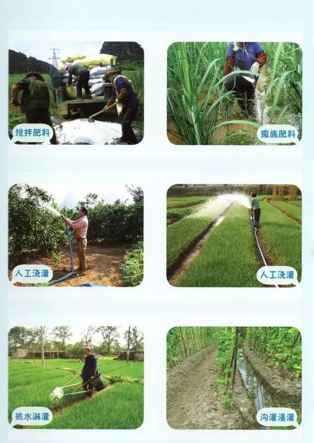 水肥一体机解决方案