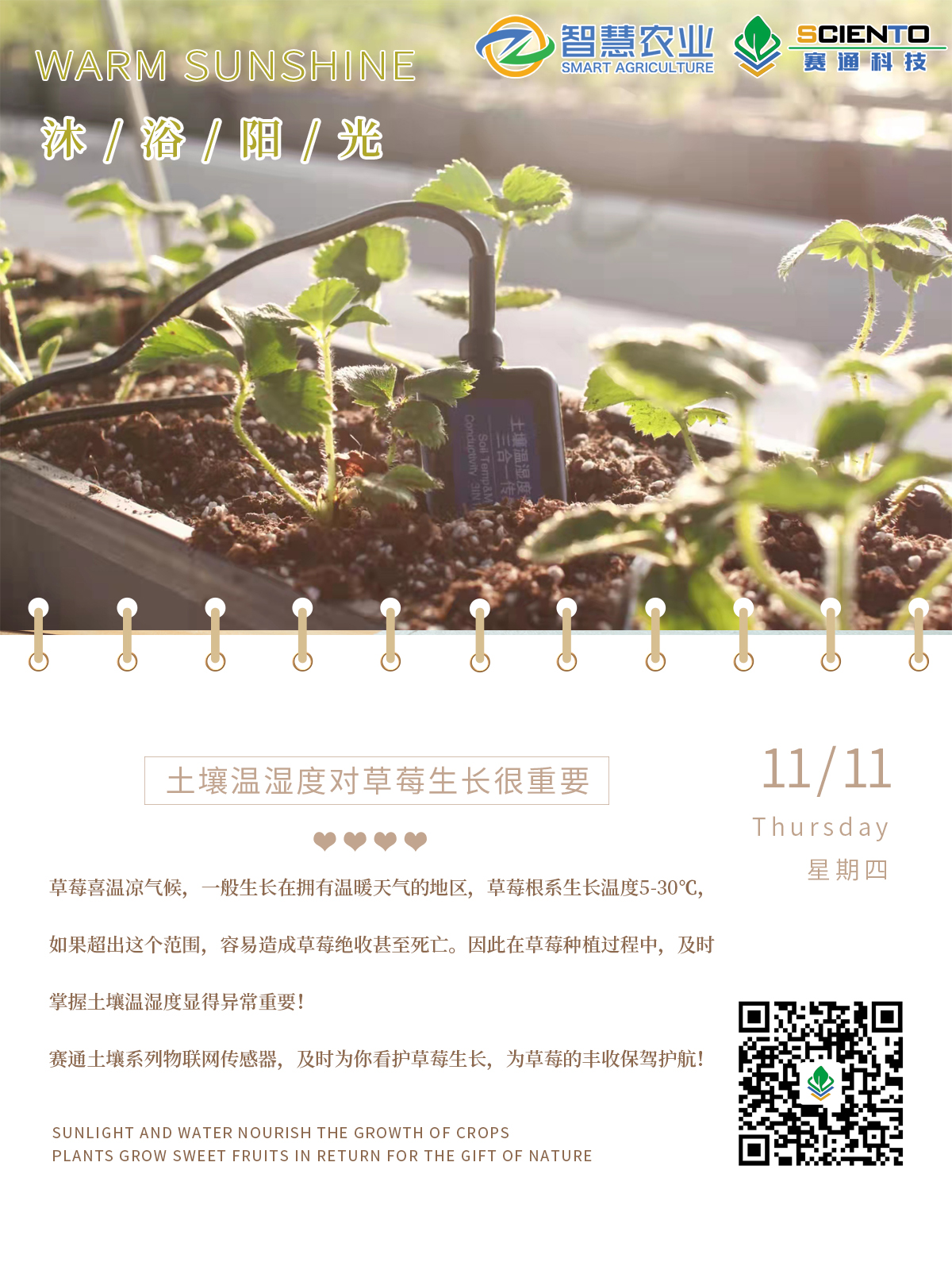 土壤温湿度传感器