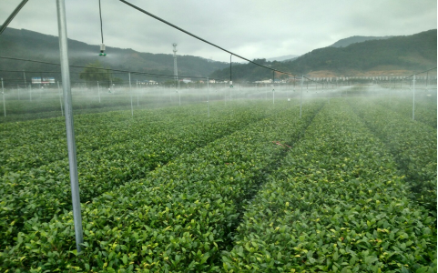 无线智能灌溉设备