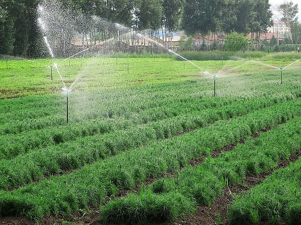 水肥一体化微喷灌