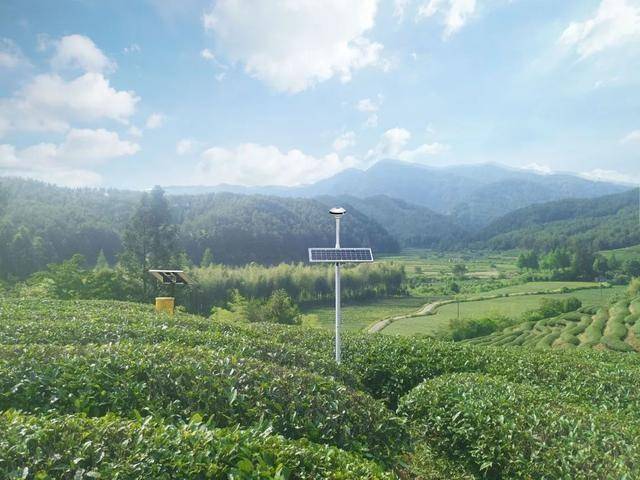 智慧茶园公司