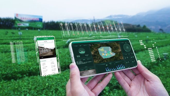智慧茶园建设方案