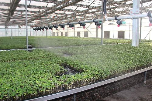 蔬菜大棚自动化设备