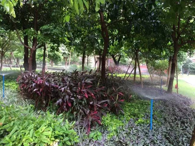 智能自动化喷灌系统