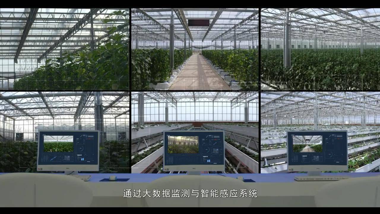 温室大棚物联网系统