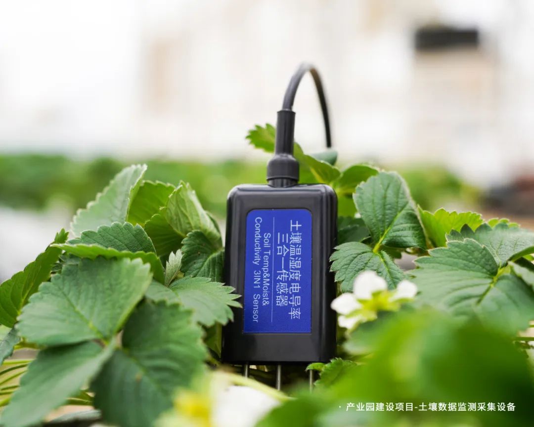 智慧农业传感器制造商