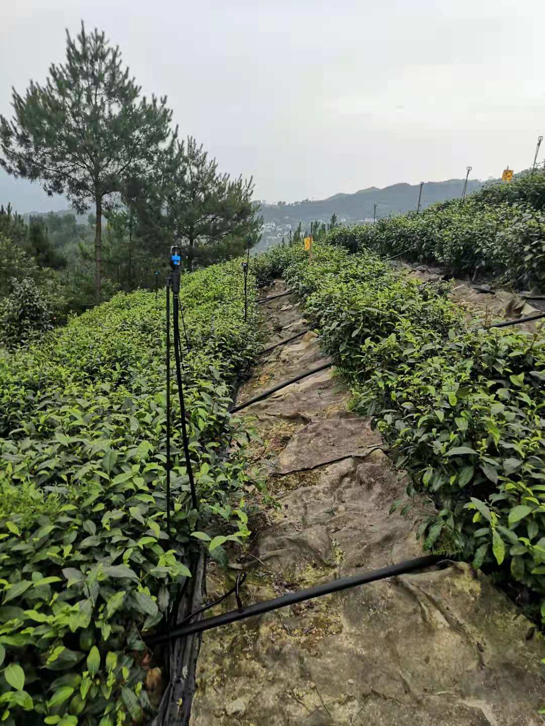 农业自动化灌溉系统