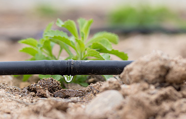 智慧农业水肥一体化管理系统