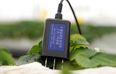 蔬菜大棚智慧感知设备 蔬菜大棚智慧感知设备