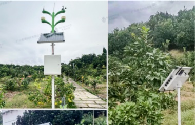 赛通科技如何用数字科技赋能西部农业 赛通科技如何用数字科技赋能西部农业